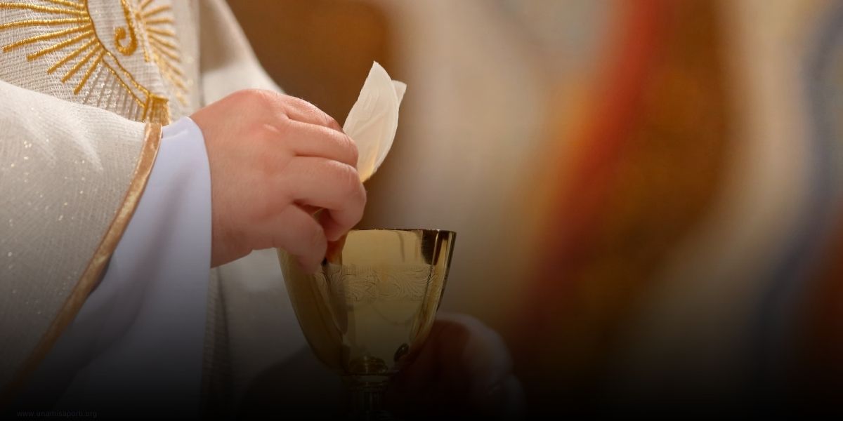 unamisaporti-inicio de año 2024